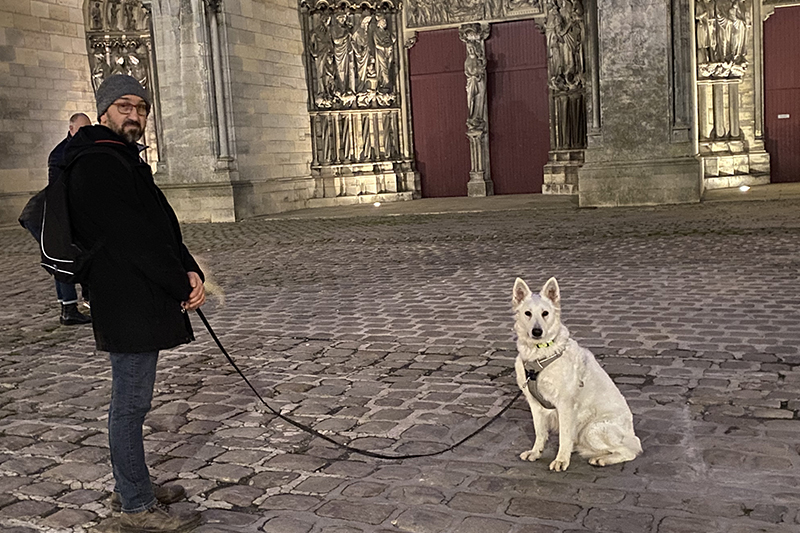 comportementaliste pour animaux à Laon